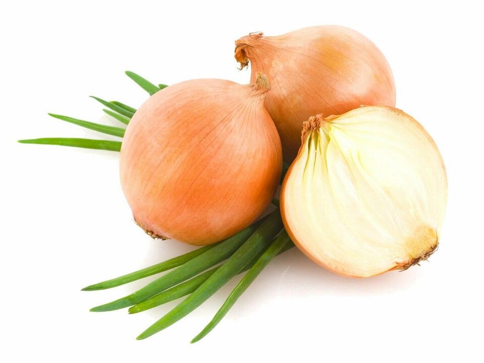 onion for worms