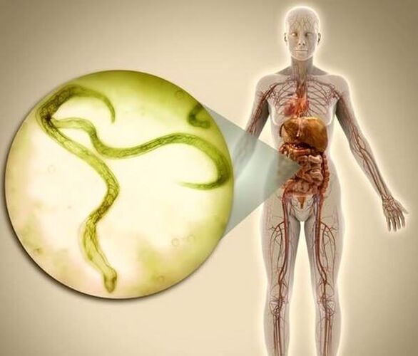 Parasites in the human body