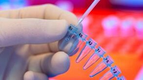 How to get tested for parasites