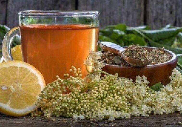 Folk remedies for worms and parasites