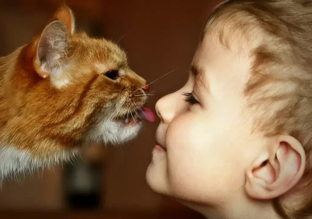a boy kisses a cat and gets infected with worms
